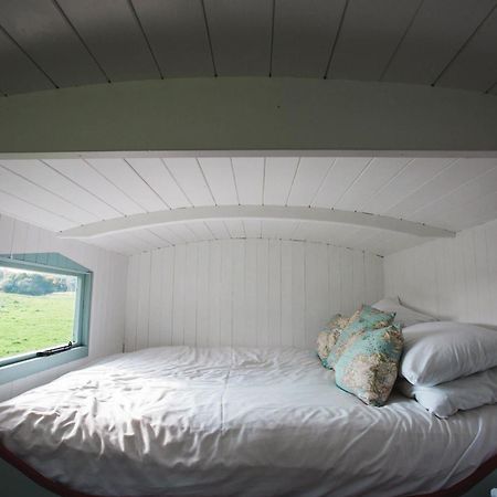 ホテル Rock Farm Slane - Glamping 部屋 写真