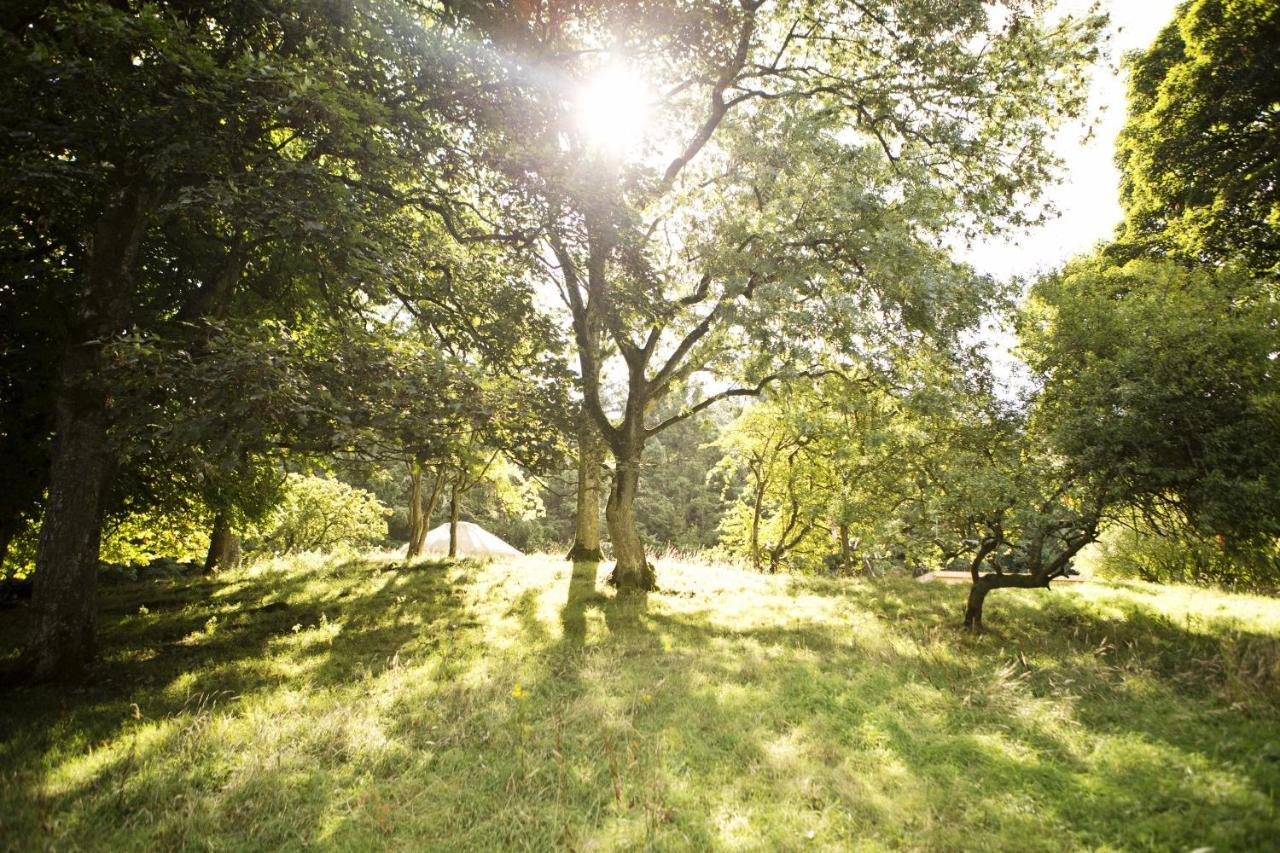 ホテル Rock Farm Slane - Glamping 部屋 写真
