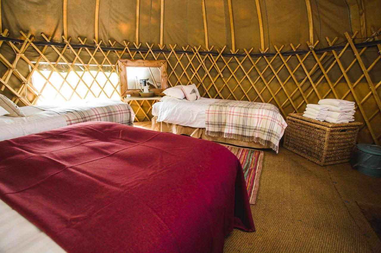 ホテル Rock Farm Slane - Glamping 部屋 写真